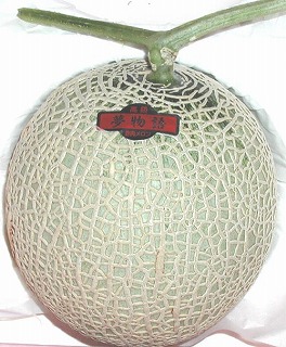�����}�X�N�������F�ԓ�������