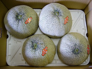 �F�{���Y�@�ԓ��������@���m��
