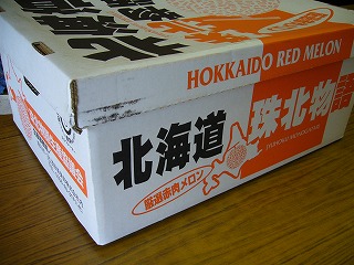 �k�C���ԓ��������i�L���O���r�[�j