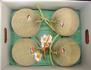 �k�C���ԓ��������i�L���O���r�[�j