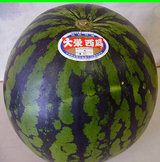 ���搼�Z