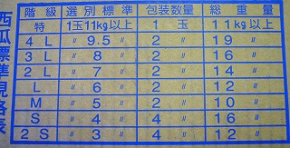 ���搼�Z