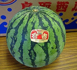 ���搼�Z