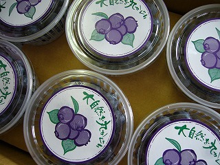 �ʕ��@�u���[�x���[