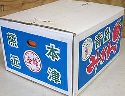 熊本みかん 金峰みかん