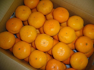 �ɑ����݂���