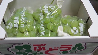 ����u�h�E