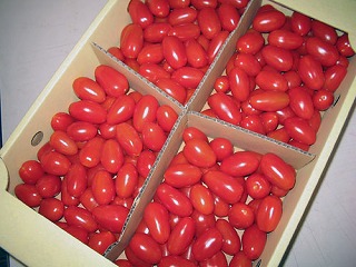 �~�j�g�}�g�i�O�~�j�B�j