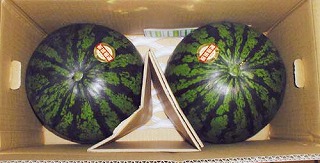 果物専門店 肥後浪漫 熊本産果実