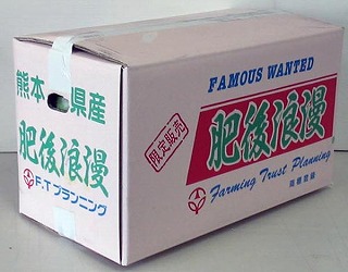 果物専門店 肥後浪漫 熊本産果実