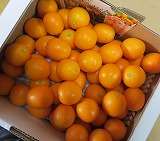 ���n�����i�������j�y�k�`2L/1.5Kg���z