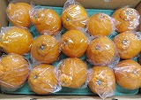 �s�m�΁y15�`18��/5Kg�z