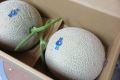 �����}�X�N�������@���I�y����/2�ʁz