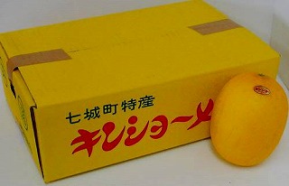 キンショーメロン