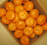 ���݂���@����yL�`2L/10Kg�ꔠ�z���I�i