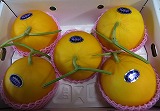 �C�G���[�L���O�������yL�`2�k/5�`6��/7�`8K���z