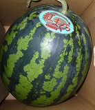 �F�{���Z�i������j�y2�k�T�C�Y/1�ʁz