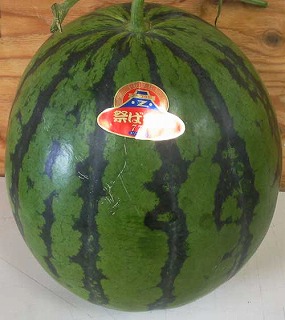 �F�{���Z�iJA����n�j�@�ʎ����X