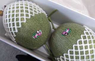 ���O���[���@�ʕ�