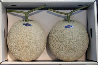 �}�X�N�������@�F�{�Y