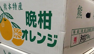 �W���[�V�[�ӊ�