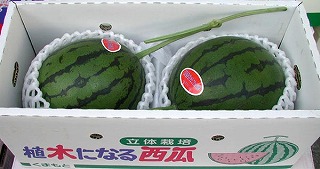 ���̃n�E�X���Z,�A�؂ɂȂ鐼�Z