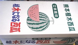 ���̃n�E�X���Z,�A�؂ɂȂ鐼�Z
