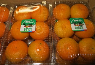 ハウスみかん