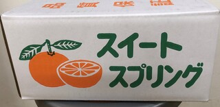 スイートスプリング