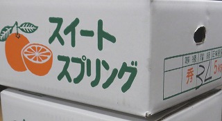 スイートスプリング
