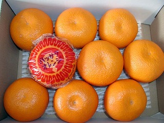 �g����