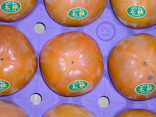 太秋柿