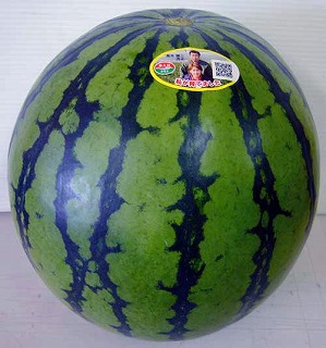 �F�{�Y���Z