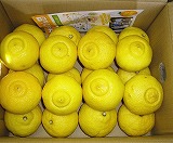�T���_�݂���@�͂邩