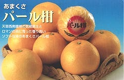 �p�[����