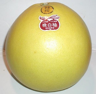 ӔMi΂؂j