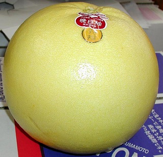 ӔMi΂؂j