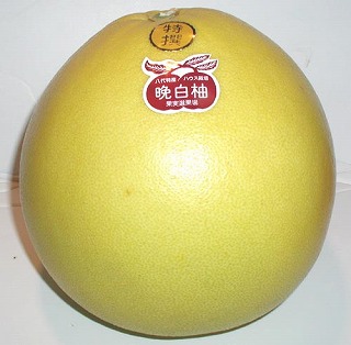 ӔMi΂؂j