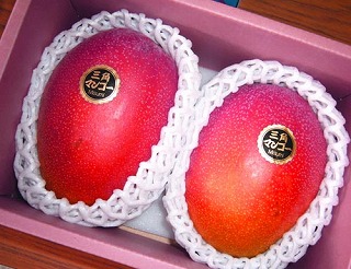 �{�芮�n�}���S�[