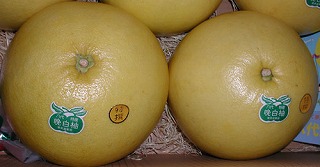 ӔMi΂؂j