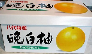 ӔMi΂؂j