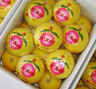 F{Yʎ@p[