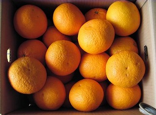 ÉĂ݂