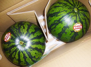 ���Q���i���Z�j