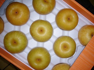 ÂJAF{oϘA