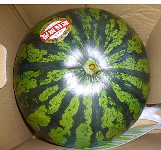 ���Q���i���Z�j