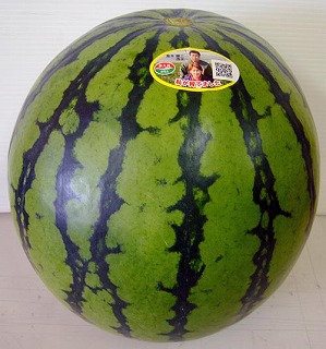 F{ZiJAnj@ʎX