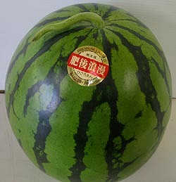 果物専門店 肥後浪漫 熊本産果実
