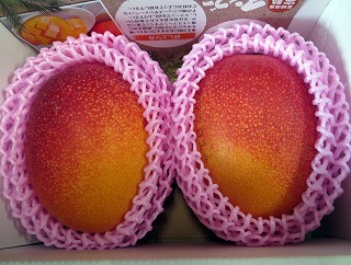 �{�芮�n�}���S�[